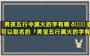 男孩五行中属火的字有哪 🐘 些可以取名的「男宝五行属火的字有哪些」